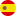 ESP Flag