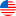 USA Flag